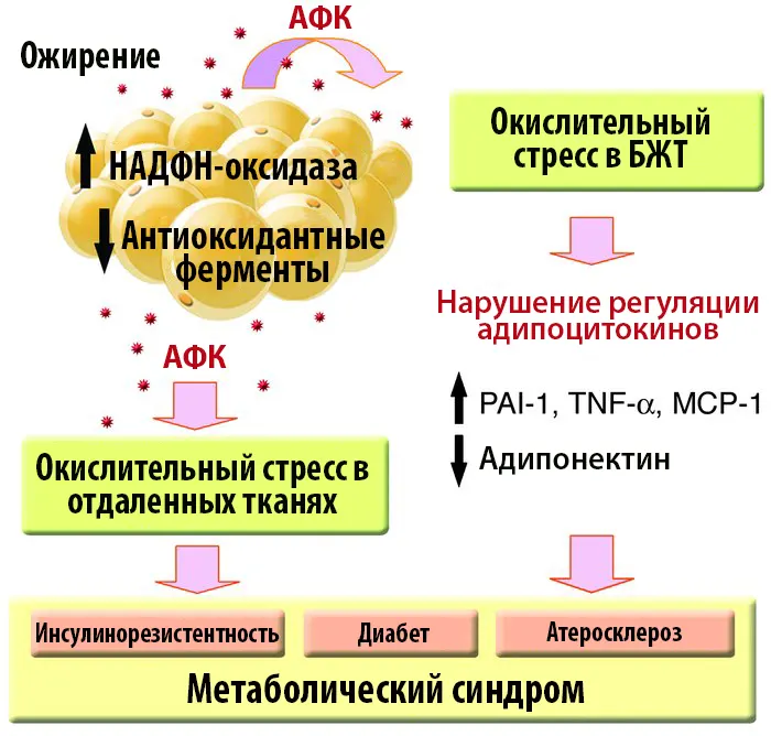 Контроль веса